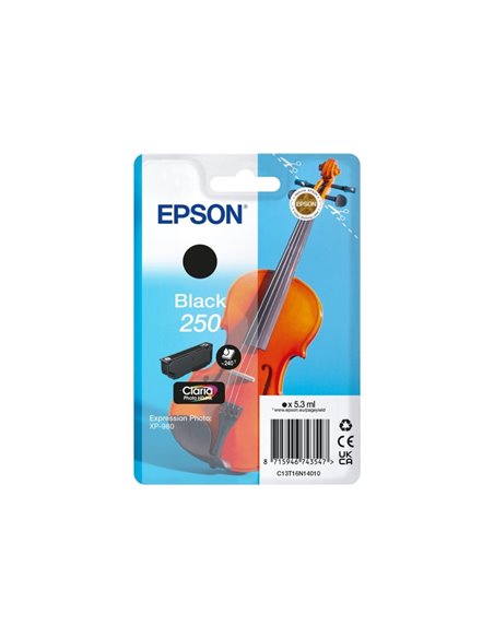 Epson 250 Noir Cartouche d'Encre - C13T16N14010