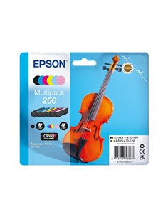 Epson 250 Pack de 6 Cartouches d'encre es - C13T16N84010