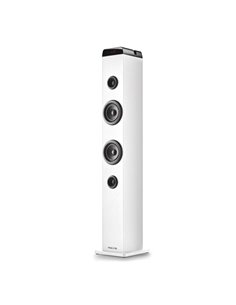 NGS Sky Charm Pro Torre de Sonido Bluetooth 80W - USB, Radio FM, Aux In et Entrée Optica - Funcion Broadcasting - Bois de Haute 