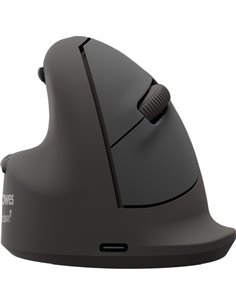 Fellowes Breyta Plus Souris Inalambrico Ergonomique Vertical 2400ppp - Taille Grande - Bluetooth®, Dongle USB et Conexion Par Câ