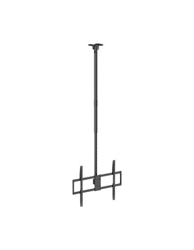 Aisens Support de Techo Pro Giratorio - Inclinable, Extensible et Nivelable - De 50" à 100" - Peso Maximo 80Kg - VESA Maximo 800