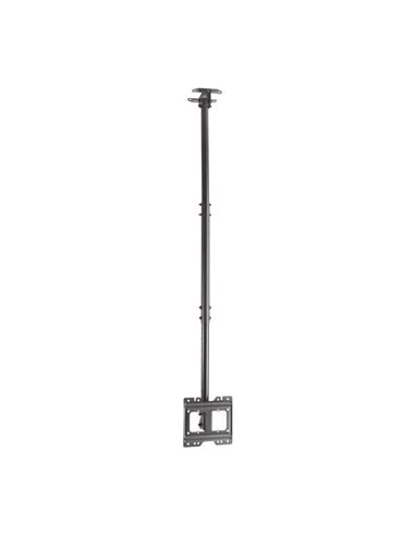 Aisens Support de Techo Giratorio - Inclinable et Extensible. (TV 23”-43”) - Couleur Noir