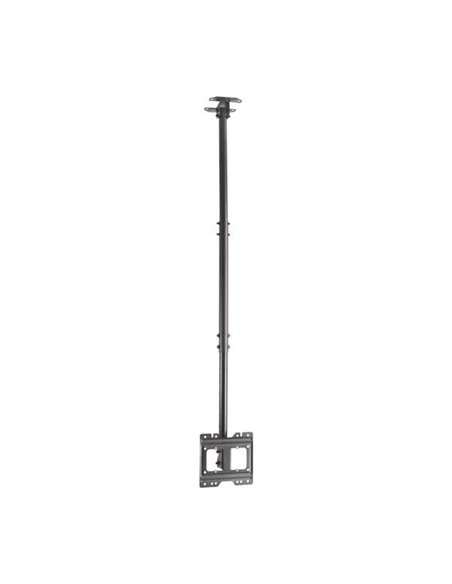 Aisens Support de Techo Giratorio - Inclinable et Extensible. (TV 23”-43”) - Couleur Noir