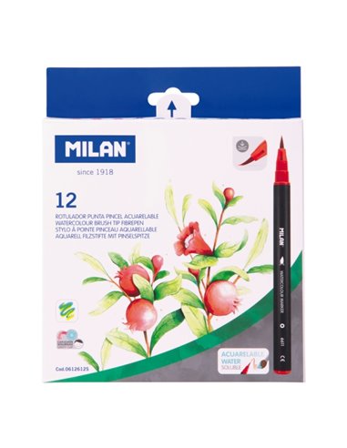 Milan Pack de 12 Feutres Acuarelables - Encre al Eau - Pointe de Pincel 0.5 à 6mm - Couleurs assorties