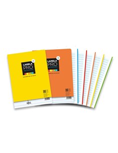 Lamela Pro Recambio Multitarea de 100 Feuilles de 90g/m2 - Format A4 - Pauta Cuadrovia de 4mm - Papier Offset Blanc Extra - Cert
