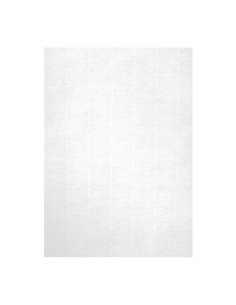Apli Pack de 100 Feuilles de Papier Verjurado A4 - Haute qualité - 100gr - Compatible Avec Impresoras Inkjet, Laser et Fotocopia