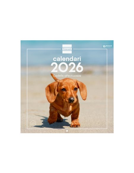 Finocam Calendario de Pared en Catalan - Annuel 2026 - Imagenes Variadas - 300x300mm - Espacio Pour Escribir - Tematica de Cacho