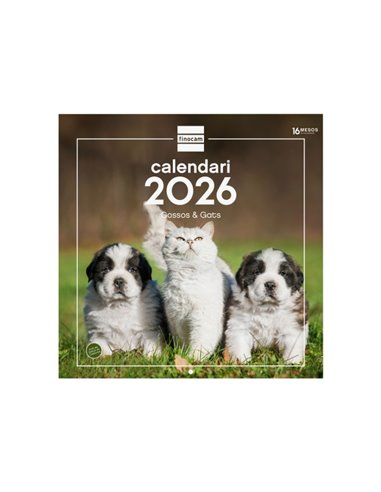 Finocam Calendario de Pared en Catalan - Annuel 2026 - Imagenes Variadas - 300x300mm - Espacio Pour Escribir - Tematica de Perro