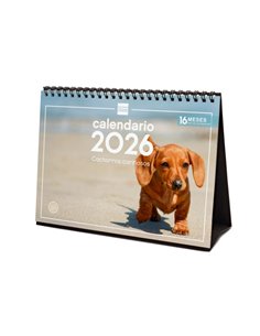 Finocam Calendario de Sobremesa - Annuel 2026 - Imagenes Variadas - Espacio Pour Escribir - Tematica de Cachorros