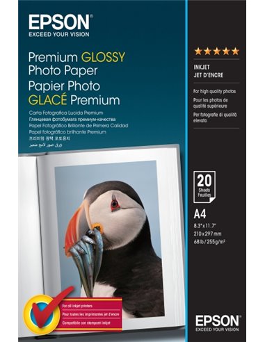 Epson Premium Glossy Photo Pack de 20 Feuilles de Papier Fotografico - A4 - Gramaje de 255g/m2 - Acabado Brillante - Compatible 