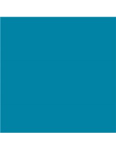 Canson Guarro Pack de 25 Cartulinas Iris de 185g - 50x65cm - Couleur Bleu Caribe