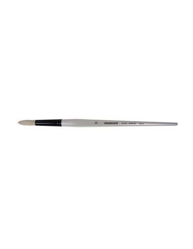 Daler Rowney Graduate Pincel Pour Oleo - Pelo de Cerda Natural - Mango Largo - Redondo - N°10