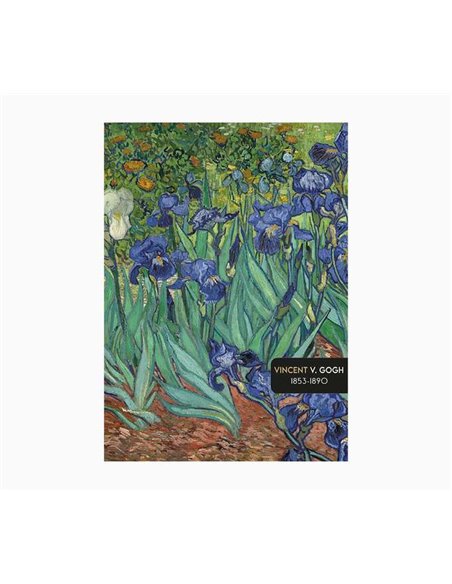 Pictura Cahier A5 - 15x21cm - 48 Paginas Avec Lineas - Papier Certificado FSC