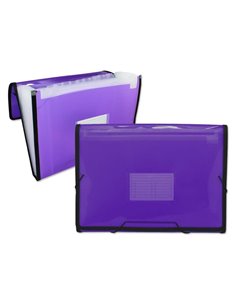 Ingraf Chemise Frame Fuelle 13 Departamentos Taille A4 - Polipropileno Translucido - Gomas et Solapas - Couleur Violet