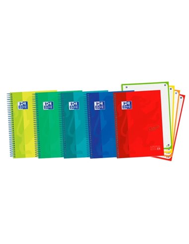 Oxford School Touch A5+ Europeanbook Carnet Spirale 120 Feuilles Cuadricula 5x5 Avec Bandas de Couleur - Couvercle Extradura Ave
