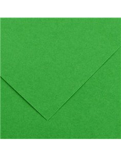 Canson Guarro Pack de 25 Cartulinas Iris de 185g - 50x65cm - Couleur Vert Billar