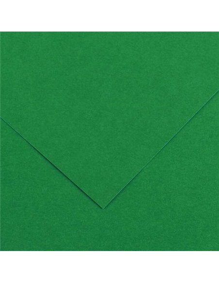 Canson Guarro Pack de 25 Cartulinas Iris de 185g - 50x65cm - Couleur Vert Abeto