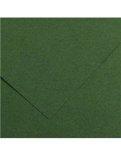 Canson Guarro Pack de 25 Cartulinas Iris de 185g - 50x65cm - Couleur Vert Amazonas