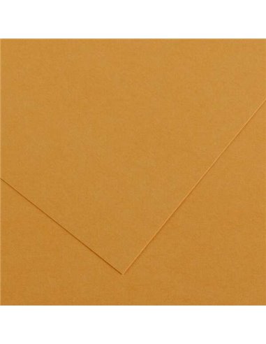 Canson Guarro Pack de 25 Cartulinas Iris de 185g - 50x65cm - Couleur Cuir