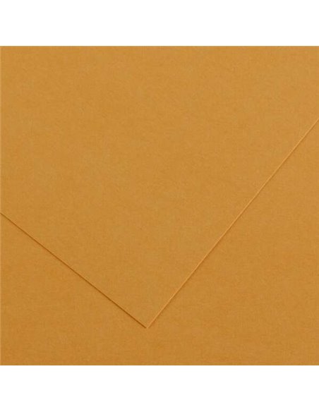 Canson Guarro Pack de 25 Cartulinas Iris de 185g - 50x65cm - Couleur Cuir