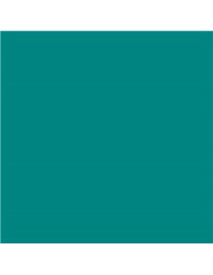 Canson Guarro Pack de 25 Cartulinas Iris de 185g - 50x65cm - Couleur Vert Menta