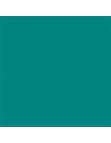 Canson Guarro Pack de 25 Cartulinas Iris de 185g - 50x65cm - Couleur Vert Menta