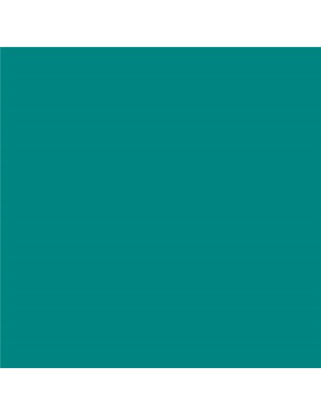 Canson Guarro Pack de 25 Cartulinas Iris de 185g - 50x65cm - Couleur Vert Menta