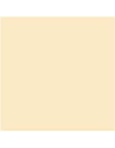 Canson Guarro Pack de 25 Cartulinas Iris de 185g - 50x65cm - Couleur Cascara Huevo