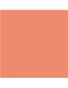 Canson Guarro Pack de 25 Cartulinas Iris de 185g - 50x65cm - Couleur Coral