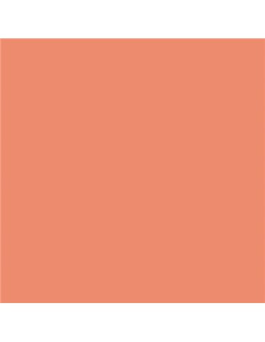 Canson Guarro Pack de 25 Cartulinas Iris de 185g - 50x65cm - Couleur Coral