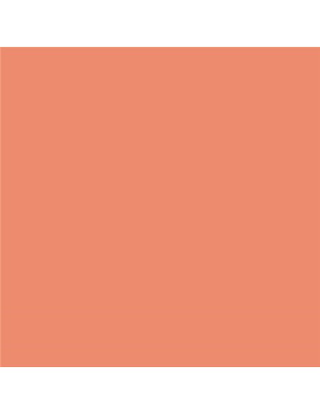 Canson Guarro Pack de 25 Cartulinas Iris de 185g - 50x65cm - Couleur Coral