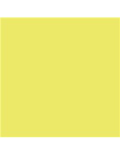 Canson Guarro Pack de 25 Cartulinas Iris de 185g - 50x65cm - Couleur Kiwi