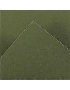 Canson Guarro Pack de 25 Cartulinas Iris de 185g - 50x65cm - Couleur Vert Safari