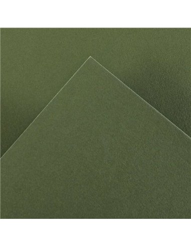 Canson Guarro Pack de 25 Cartulinas Iris de 185g - 50x65cm - Couleur Vert Safari