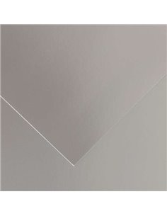 Canson Guarro Pack de 25 Cartulinas Iris de 185g - 50x65cm - Couleur Argent