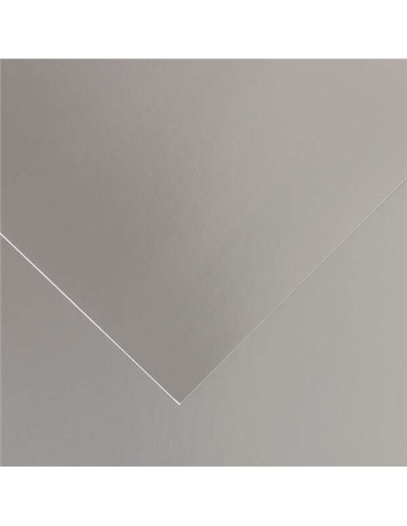 Canson Guarro Pack de 25 Cartulinas Iris de 185g - 50x65cm - Couleur Argent