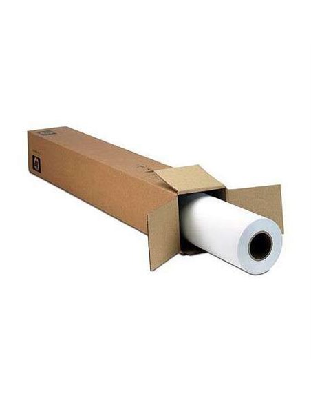 HP Everyday Bobina de Papier Fotografico Satinado, séchage instantáneo Pour impresoras de inyección de Encre, 235 g/m², 1067mm x