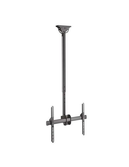 Aisens Support de Techo Giratorio - Inclinable - Extensible et Nivelable (TV 37”-70”) - Couleur Noir