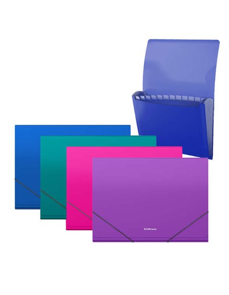 Erichkrause Matt Vivid Chemise/Clasificador Avec 12 Fundas A4 - Acabado Mate - Couleurs assorties