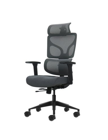Oqonos Cherg 011 Silla de Bureau Ergonomica Avec Reposacabezas Cervical Réglable, Respaldo et Asiento de Malla Élastique, Reposa