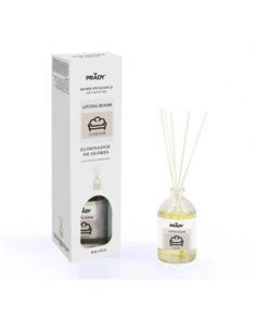 Prady Ambientador Mikado Neutralizador de Odeurs Pour Comedor - Flacon de Cristal 100 ml et Varitas Difusoras