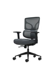 Oqonos Cherg 013 Silla de Bureau Ergonomica Avec Respaldo et Asiento de Malla Élastique, Reposabrazos 4D, Asiento Deslizable Erg