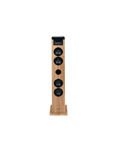 Thomson Cosy DS122CD Torre de Sonido 60W Bluetooth 5.0 - Reproductor de CD - Entrée AUX 3,5mm, USB et Lector de Tarjetas SD/MMC 