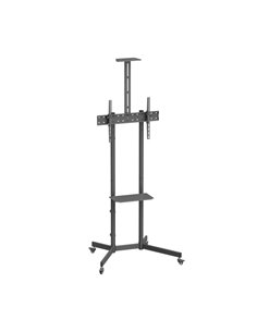 Aisens Support de Suelo ECO Avec Rueda - Bandeja Pour DVD et Support de Appareil photo Pour Monitor/TV 45kg de 37-70 - Couleur N
