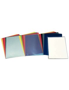 Esselte Boîte de 100 Dossiers Uñero Modelo 30F Folio 180 Micras - Acabado Foca