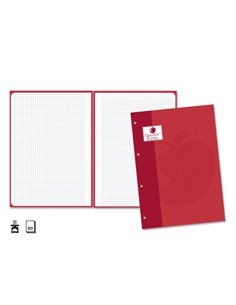 Golden Extra Recambio de 80 Feuilles 90gr Cuadricula 4x4 - Format A4 - 4 Taladros et Banda de Couleur Rouge