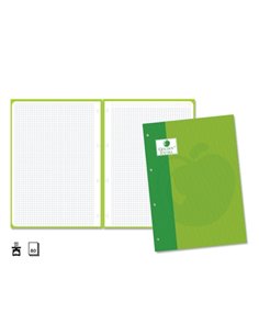 Golden Extra Recambio de 80 Feuilles 90gr Cuadricula 4x4 - Format A4 - 4 Taladros et Banda de Couleur Vert